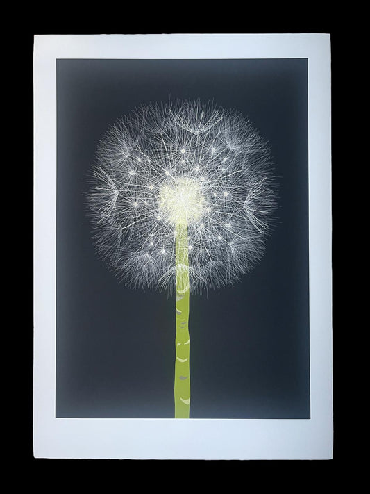 Dandelion (A2 Unframed)